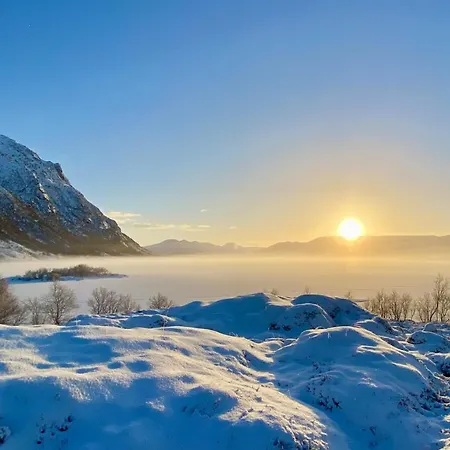 Silent Paradise Lofoten Holiday home *