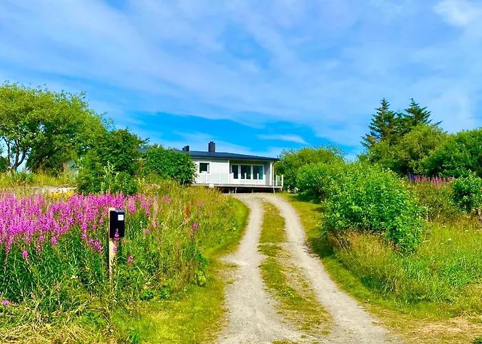 Tatil Evi Silent Paradise Lofoten *